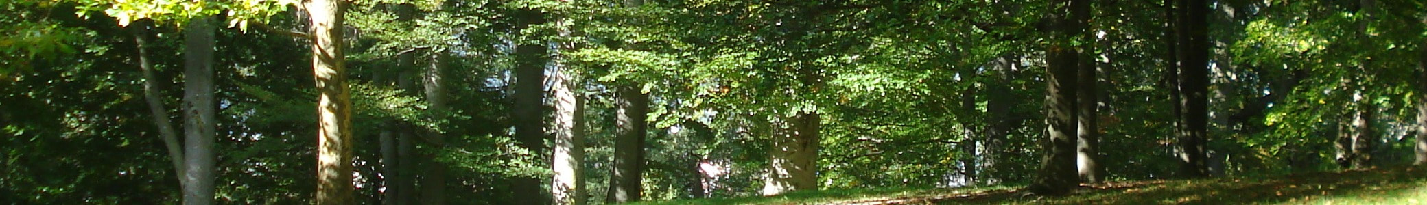 バルセロナ写真紀行2025 / 旅のアドバイス